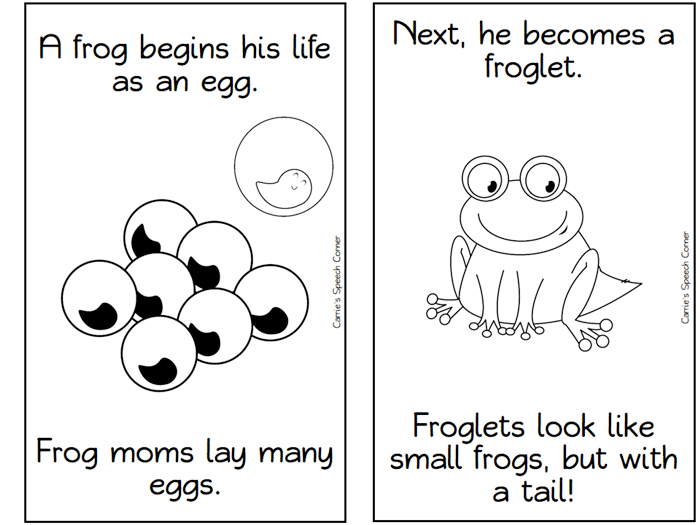 13 Frog Life Cycle Resources And Printables Teach Junkie