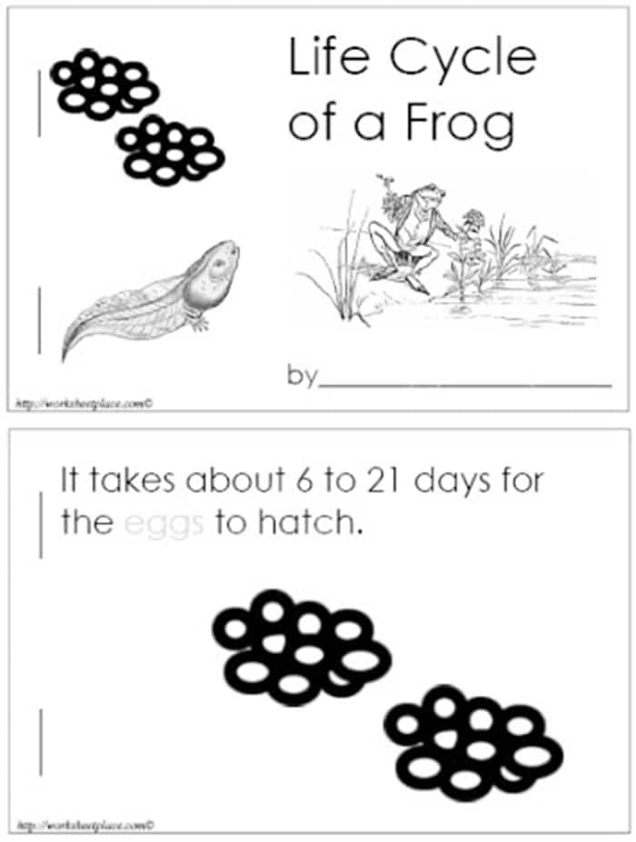 13 Frog Life Cycle Resources and Printables - FREE Life Cycle of a Frog Emergent Reader - Teach Junkie