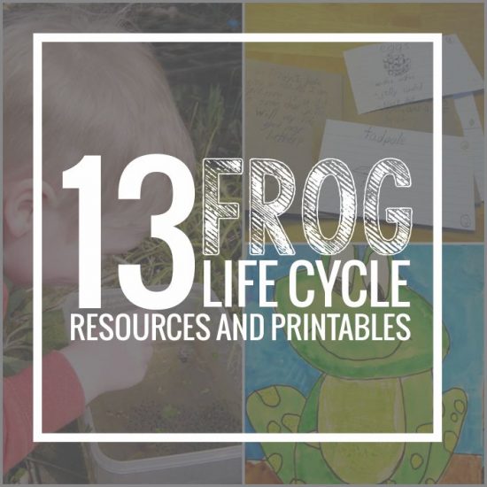13 Frog Life Cycle Resources and Printables - Teach Junkie