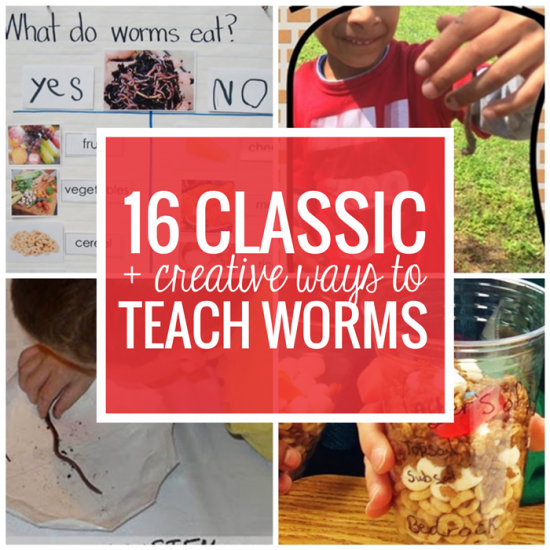 16 Classic and Creative Ways to Teach Worms