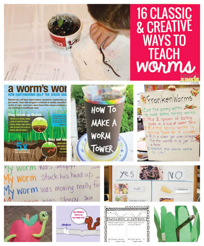 16 Classic and Creative Ways to Teach Worms - Teach Junkie