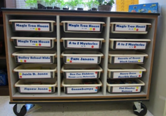 Teach Junkie:10 Classroom Library Organization Labels {Free Download}