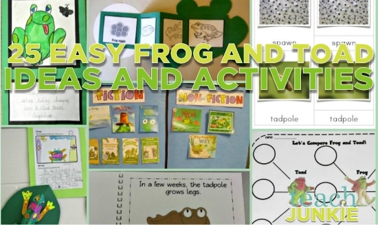 Teach Junkie: 25 Easy Frog and Toad Ideas and Activities