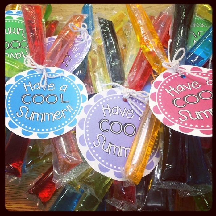 9 Excellent End of the Year Gifts for $1 - Cool Summer Popsicles - Teach Junkie