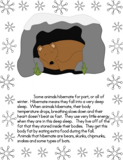 Animals in Winter - 8 Hibernation and Migration Ready to Go Resources - Teach Junkie
