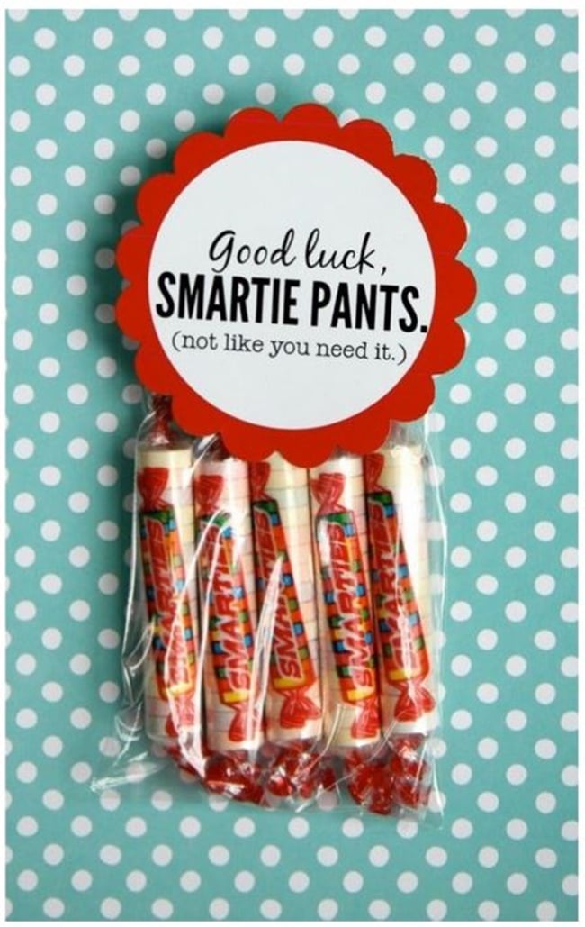 Standardized Testing - 12 Ways To Brighten Testing Time - Good Luck Smartie Pants - Teach Junkie
