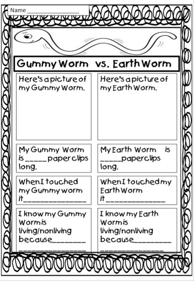Gummy Worms vs Earth Worms - Teach Junkie