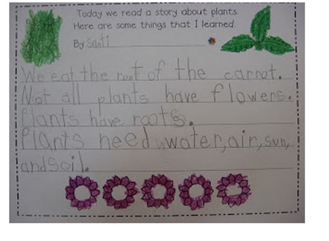Facts About Plants Writing Template {Printable} - Teach Junkie