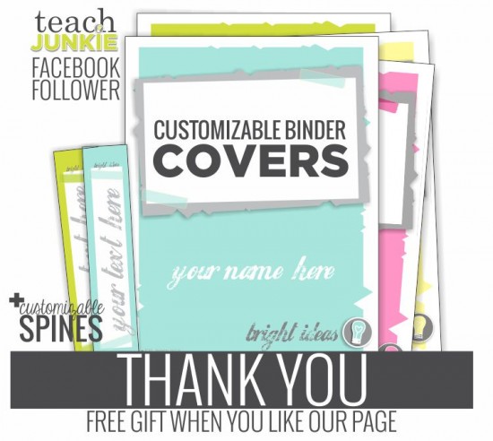Thank You Gift for Facebook Fans - Teach Junkie